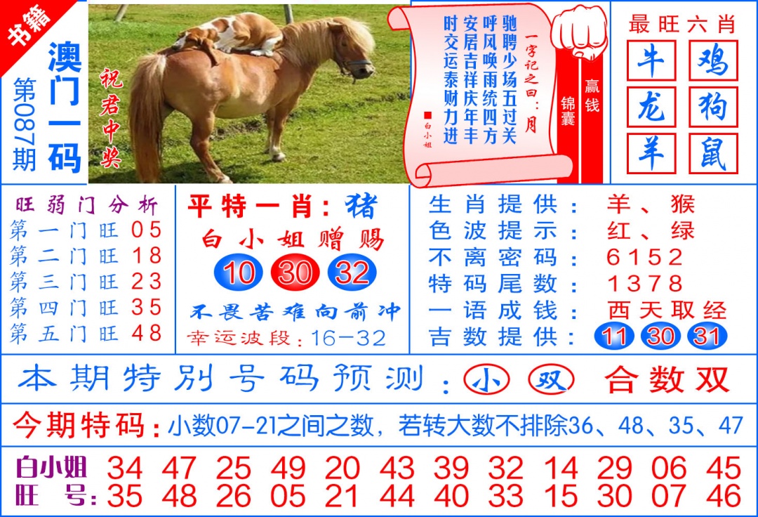 087期澳门飞龙宝典[图]